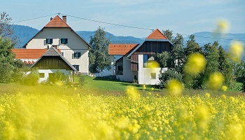 Sommerfest Tanzhof